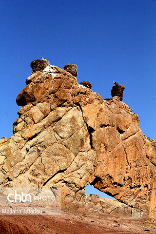 قلعه ی لک لک ها