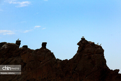 قلعه ی لک لک ها