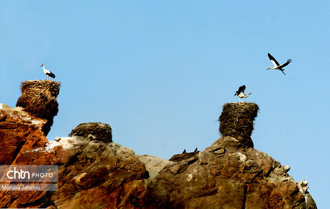 قلعه ی لک لک ها