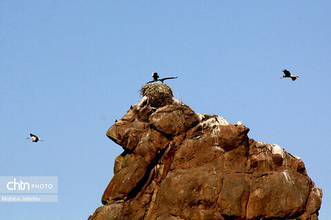 قلعه ی لک لک ها