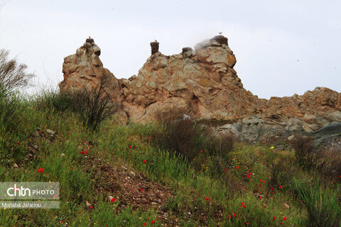 قلعه ی لک لک ها