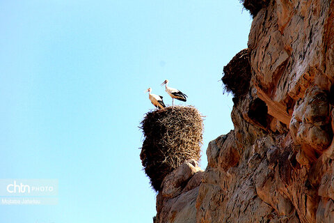 قلعه ی لک لک ها