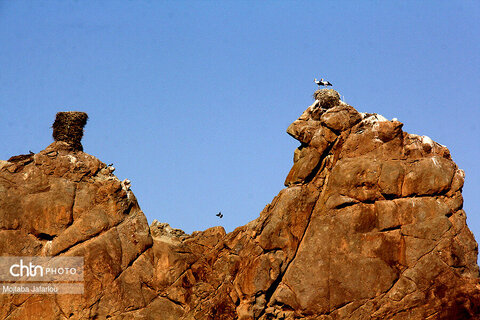 قلعه ی لک لک ها