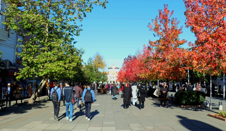چرا ۱۲ دی، روز رشت نام گرفته است؟