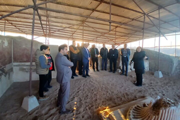 تلفیق دانش و اصالت برای احیای ویگل