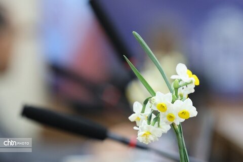 فارس.شهرستان ها