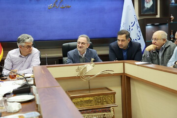 نشست تصویب آیین‌نامه اجرایی شورای راهبری توسعه گردشگری سلامت کشور