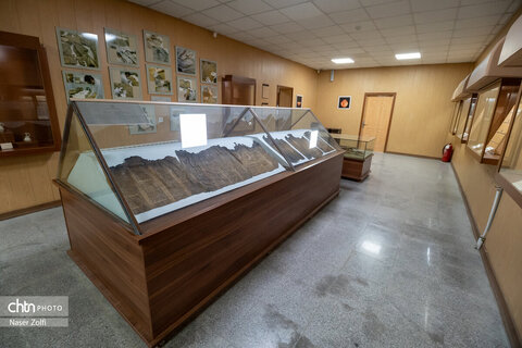 موزه هگمتانه؛ گنجینه‌ای جاودان در قلب تاریخ ایران