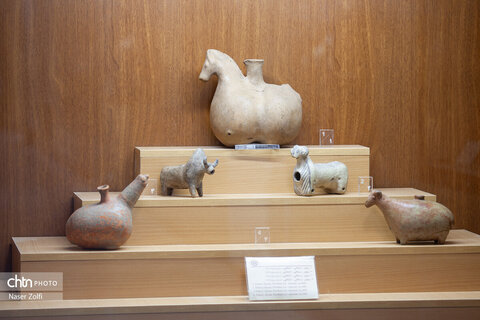 موزه هگمتانه؛ گنجینه‌ای جاودان در قلب تاریخ ایران