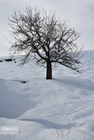 زمستان زیبای تویسرکان