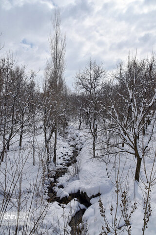 زمستان زیبای تویسرکان