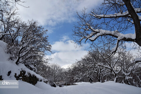 زمستان زیبای تویسرکان