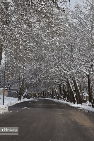 زمستان زیبای تویسرکان