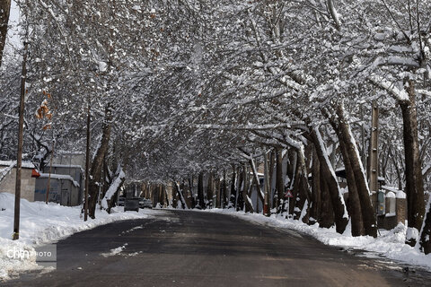 زمستان زیبای تویسرکان