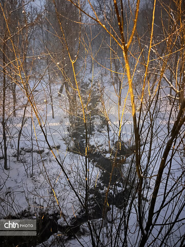 زمستان زیبای تویسرکان