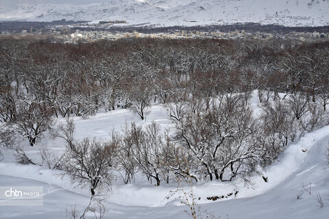 زمستان زیبای تویسرکان