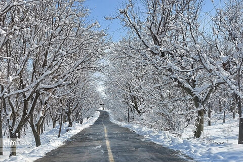 زمستان زیبای تویسرکان