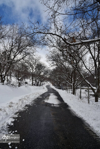 زمستان زیبای تویسرکان