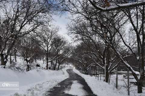 زمستان زیبای تویسرکان