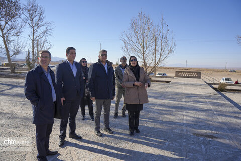 باغ شاهزاده