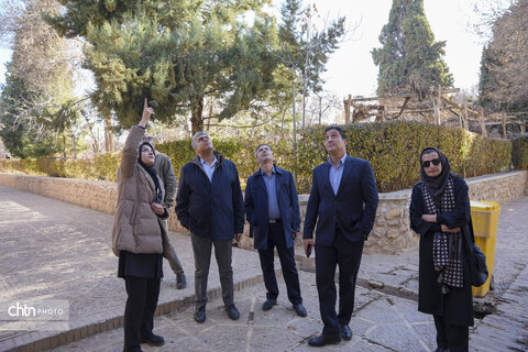 باغ شاهزاده