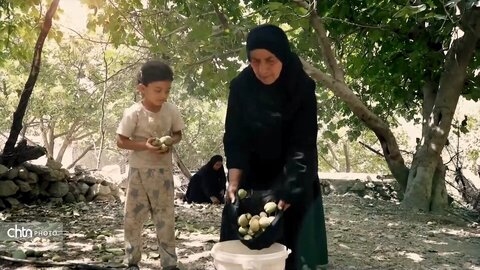 روستای برول باغملک