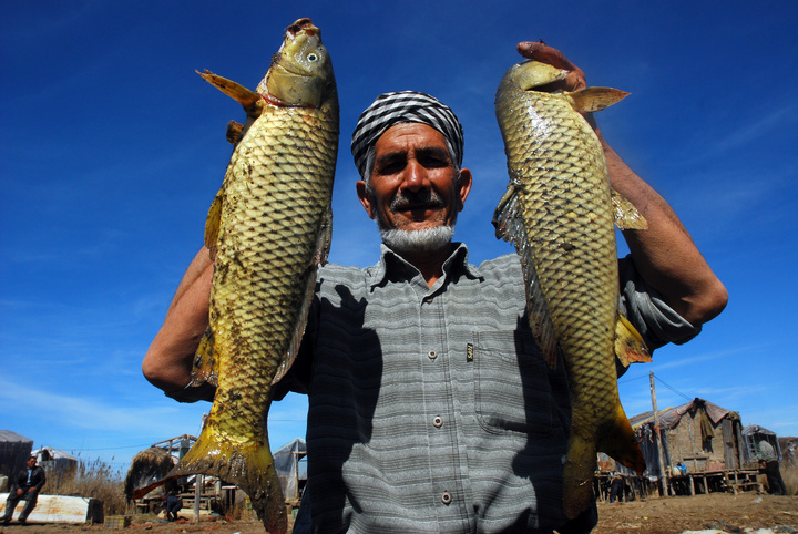 جهش کم‌سابقه صید ماهی در گلستان/ افزایش ۳۸۸ درصدی در فصل صید امسال