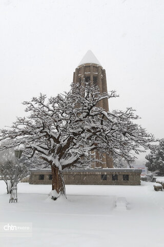 آرامگاه بوعلی سینا در آغوش زمستان
