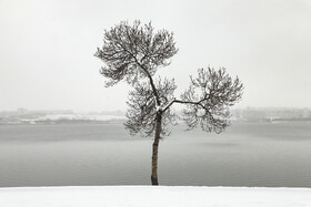 اردبیلِ برفی