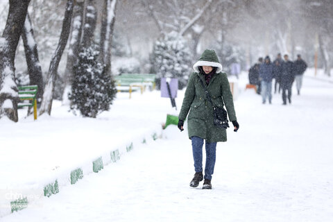 اردبیلِ برفی