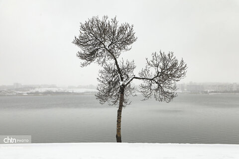 اردبیلِ برفی