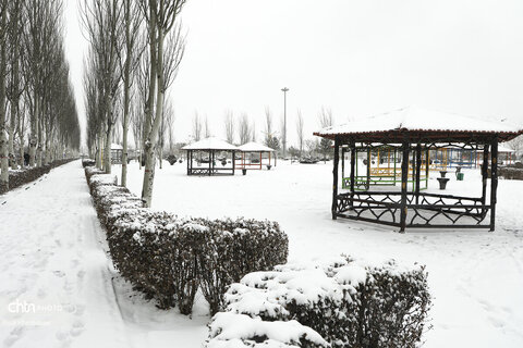 اردبیلِ برفی