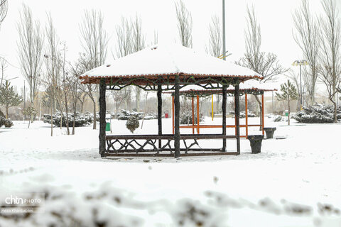 اردبیلِ برفی