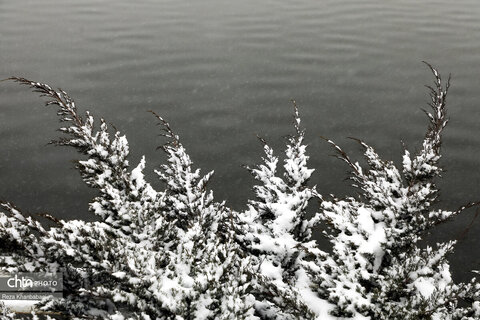 اردبیلِ برفی