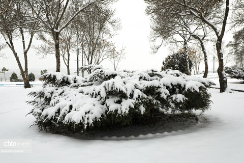 اردبیلِ برفی