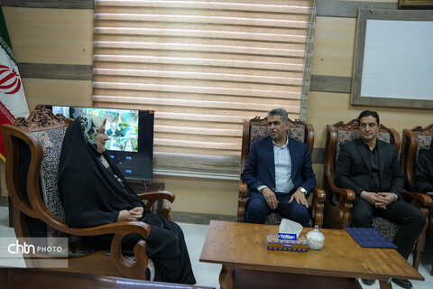 فرماندار جیرفت