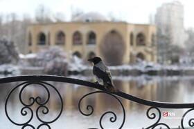 شب های برفی ائل گلی تبریز