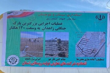 استاندار سیستان‌وبلوچستان: پروژه ۱۲۰ هکتاری پارک جنگلی زاهدان، نماد توسعه شهری و گردشگری