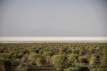 کویر حاج علی قلی، جادوی سفید کویر دامغان