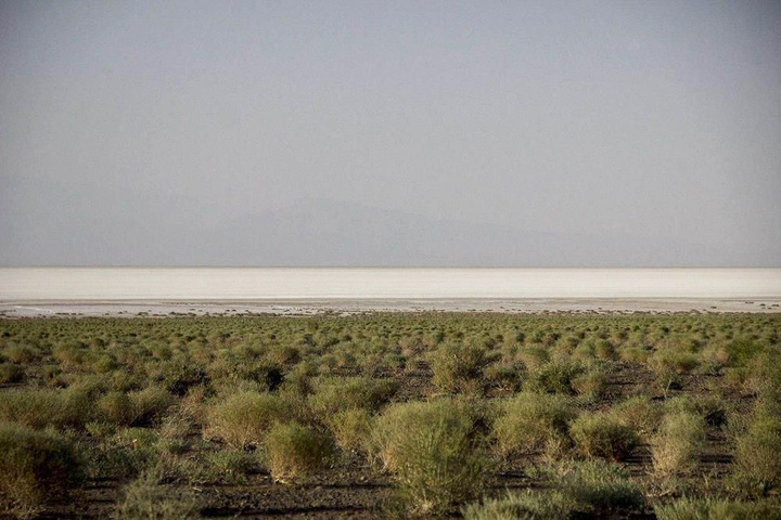 کویر حاج علی قلی، جادوی سفید کویر دامغان