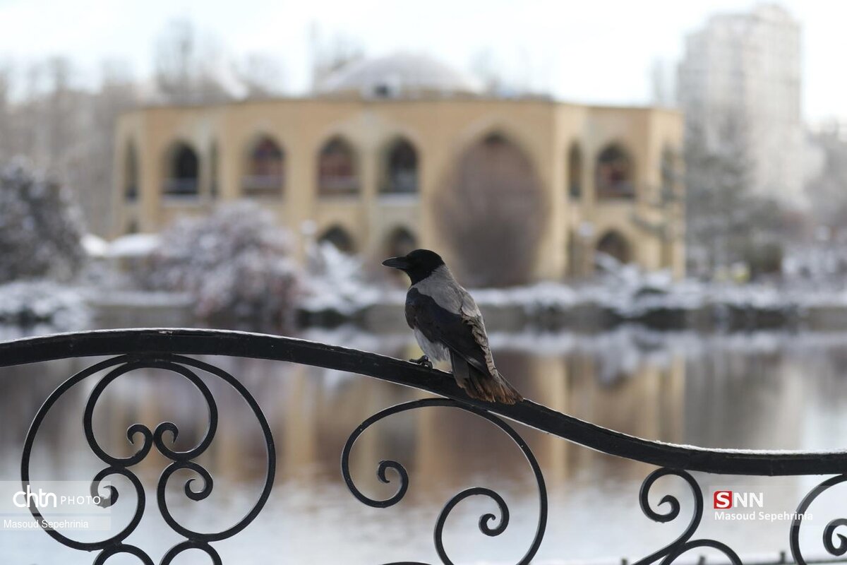 شب های برفی ائل گلی تبریز