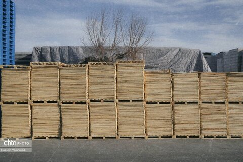 تولید ملی در صنایع شیشه و گاز