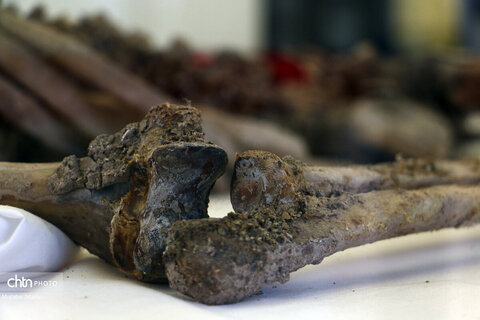 موزه باستانشناسی مردان نمکی