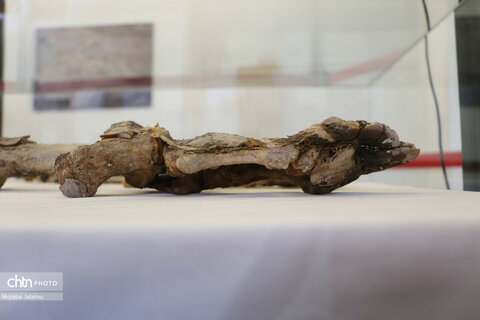 موزه باستانشناسی مردان نمکی