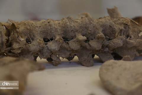 موزه باستانشناسی مردان نمکی