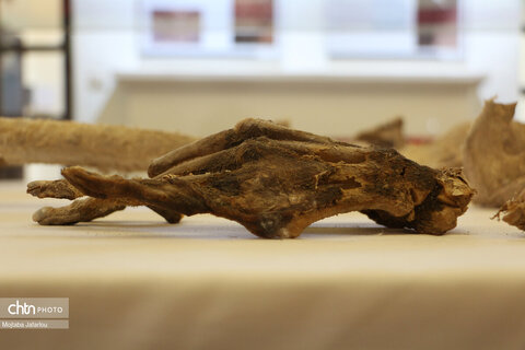 موزه باستانشناسی مردان نمکی