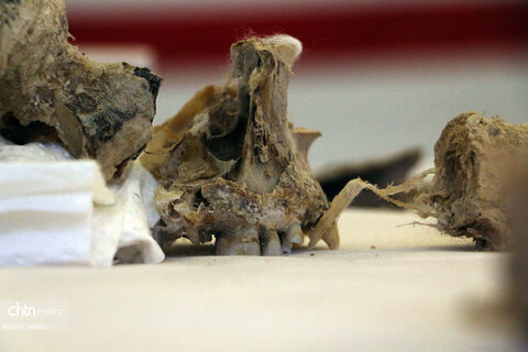 موزه باستانشناسی مردان نمکی