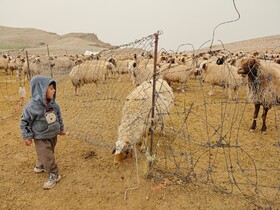 عشایر استان کرمانشاه در مناطق گرمسیری جذاب برای گردشگران