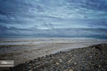 مازندران با محور اقتصاد دریامحور در نمایشگاه تهران شرکت می‌کند