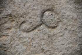 امضاءهایی با بیش از 1400 سال قدمت دردیار بیستون